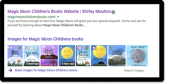 Image of search results showing SEO